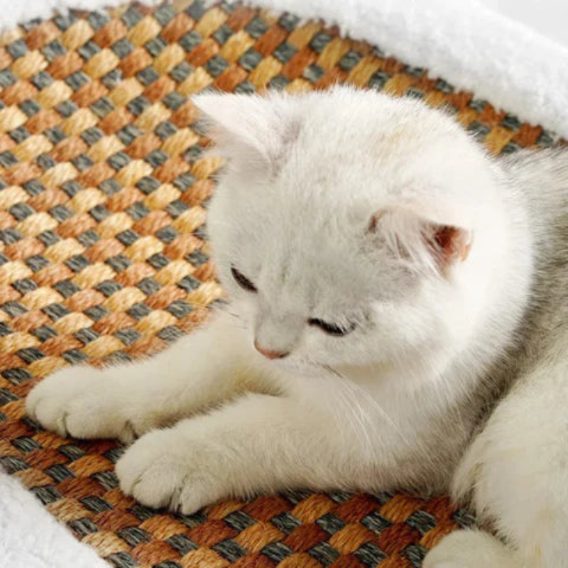 Cat Scratcher Bed – woven rattan base, fleece bolster, oval