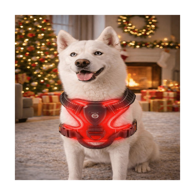 LED Dog Harness – rechargeable lighting, three light modes, padded