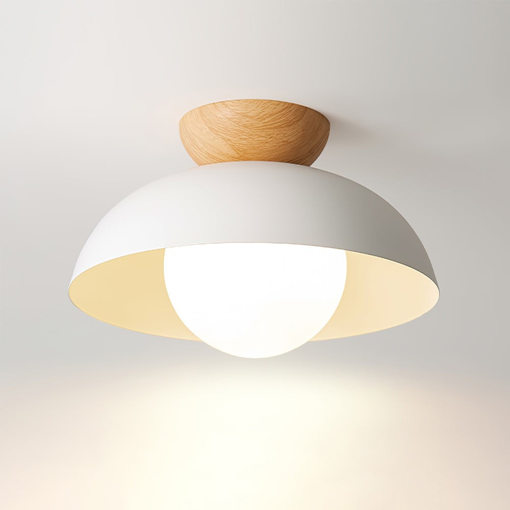 Dome Ceiling Light