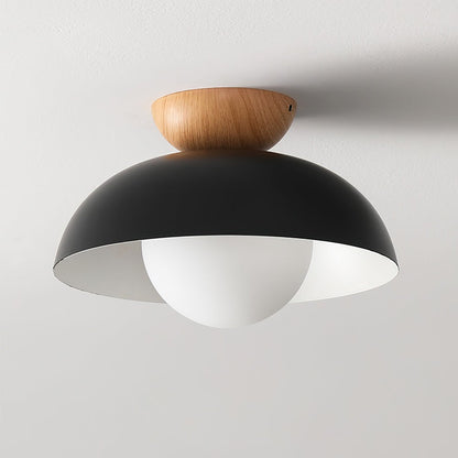 Dome Ceiling Light
