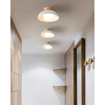 Dome Ceiling Light