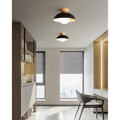 Dome Ceiling Light