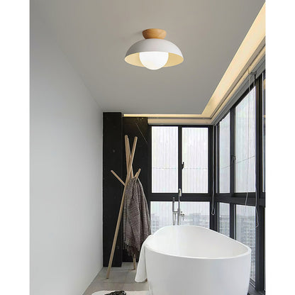 Dome Ceiling Light