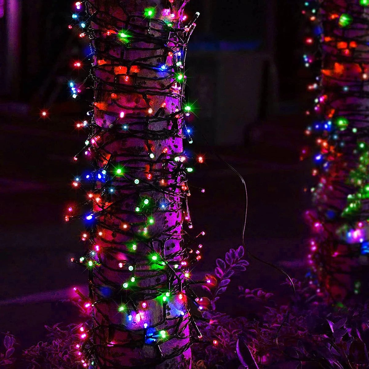 Green Wire Fairy Lights