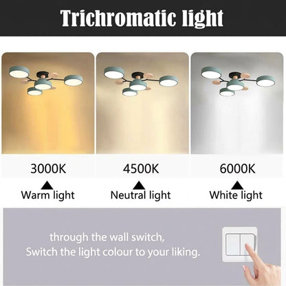 LED Ceiling Light – halo design, colour-adjustable, four to seven heads