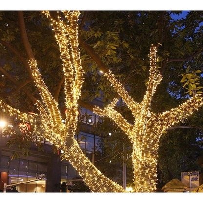 Plug-in LED Fairy Lights